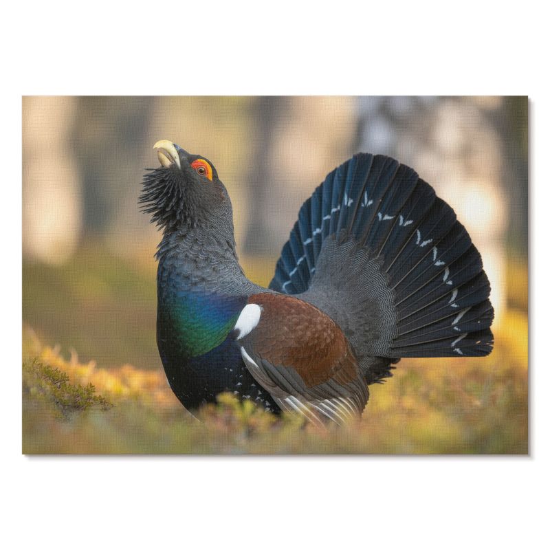 Obraz Plakat Canvas Tulup 59,4x42 cm (A2) Dumny ptak Do salonu, biura, sypialni 1 szt.