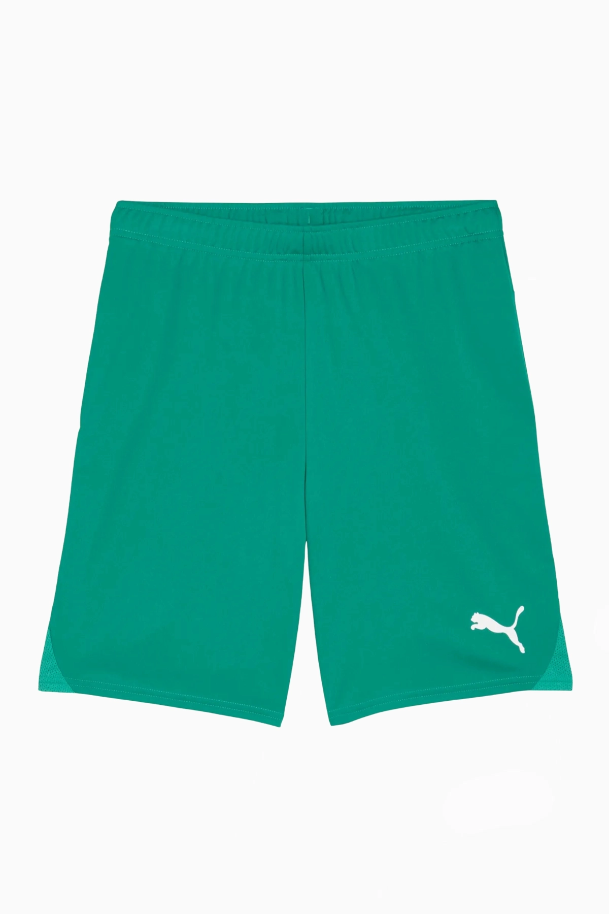 Spodenki Puma teamGOAL - Zielony