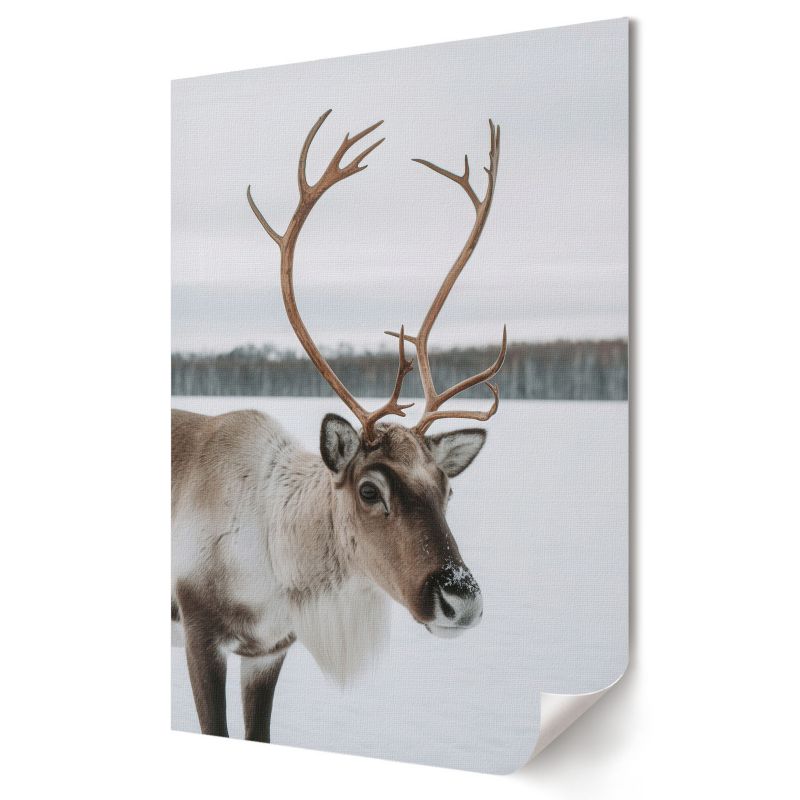 Plakat Wallfluent Format A4 Zimowy renifer Artysta SoliN 1 szt.
