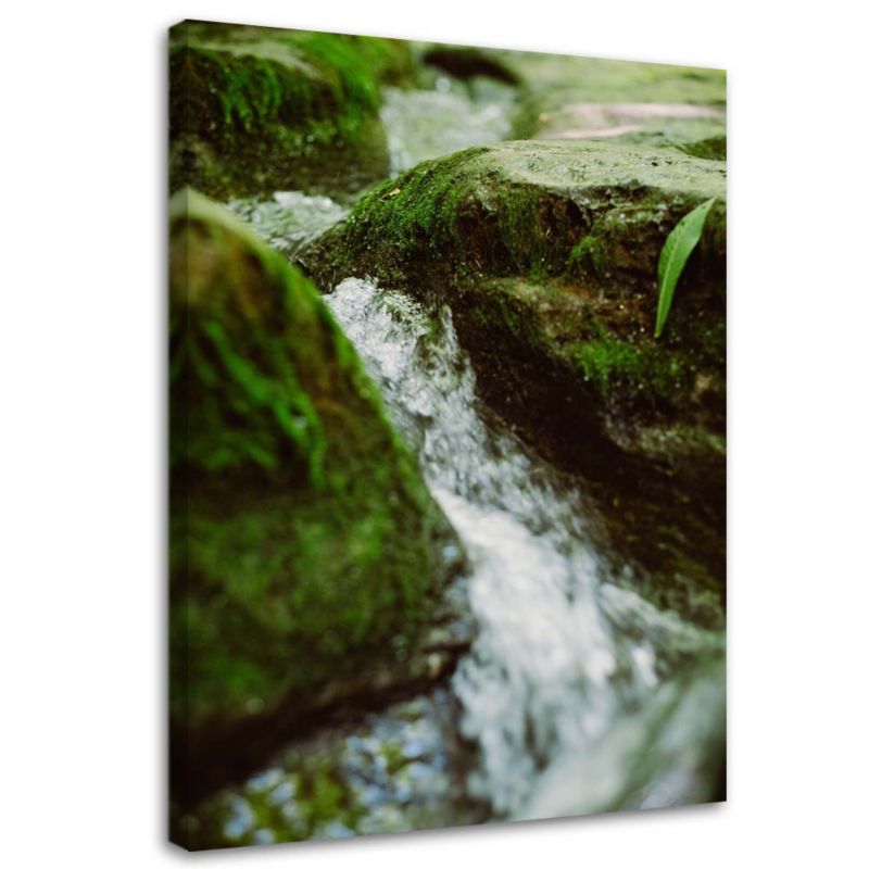 Obraz na płótnie Feeby Górski potok natura krajobraz 30x45cm 1szt