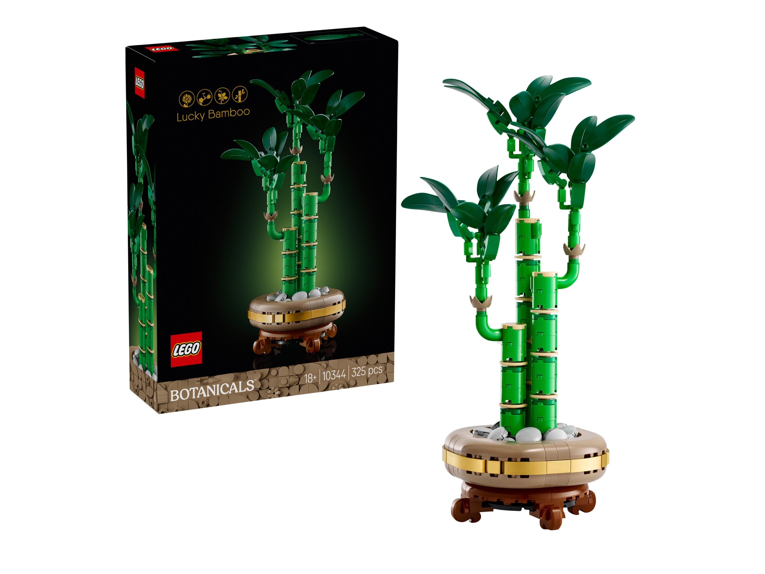 Lego Botanicals 10344 Dracena sandera bambus