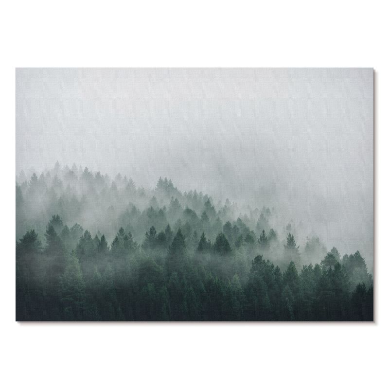 Plakat na Płótnie Tulup 42x29,7 cm (A3) Zamglony las Do sypialni, salonu, biura 1 szt.