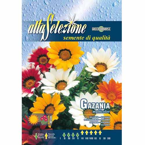 1 szt, Gazania lśniąca, mieszanka kolorów Morami - Nasiona: Ilość w opakowaniu: 0.2 g