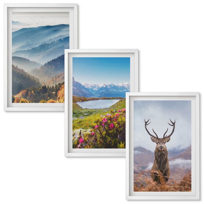 Obraz Ścienny Zestaw Wallfluent Górskie jezioro jelenie natura Biała rama 40x60 cm 3 szt.