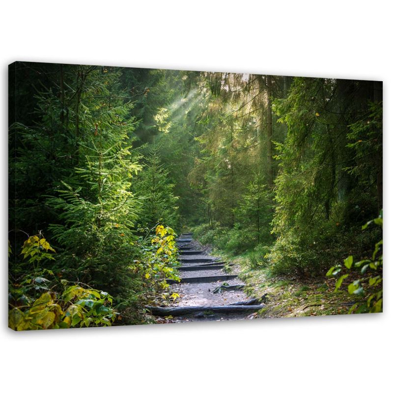 Obraz na płótnie Feeby Ścieżka w zielonym lesie 90x60cm 1szt