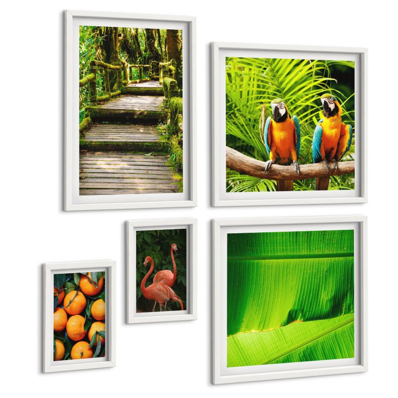 Zestaw Obrazów 5 Częściowy ArtPrintCave (2x50x50+2x20x30+40x60cm) Biała rama Owocowe akcenty tropików 1 kpl.