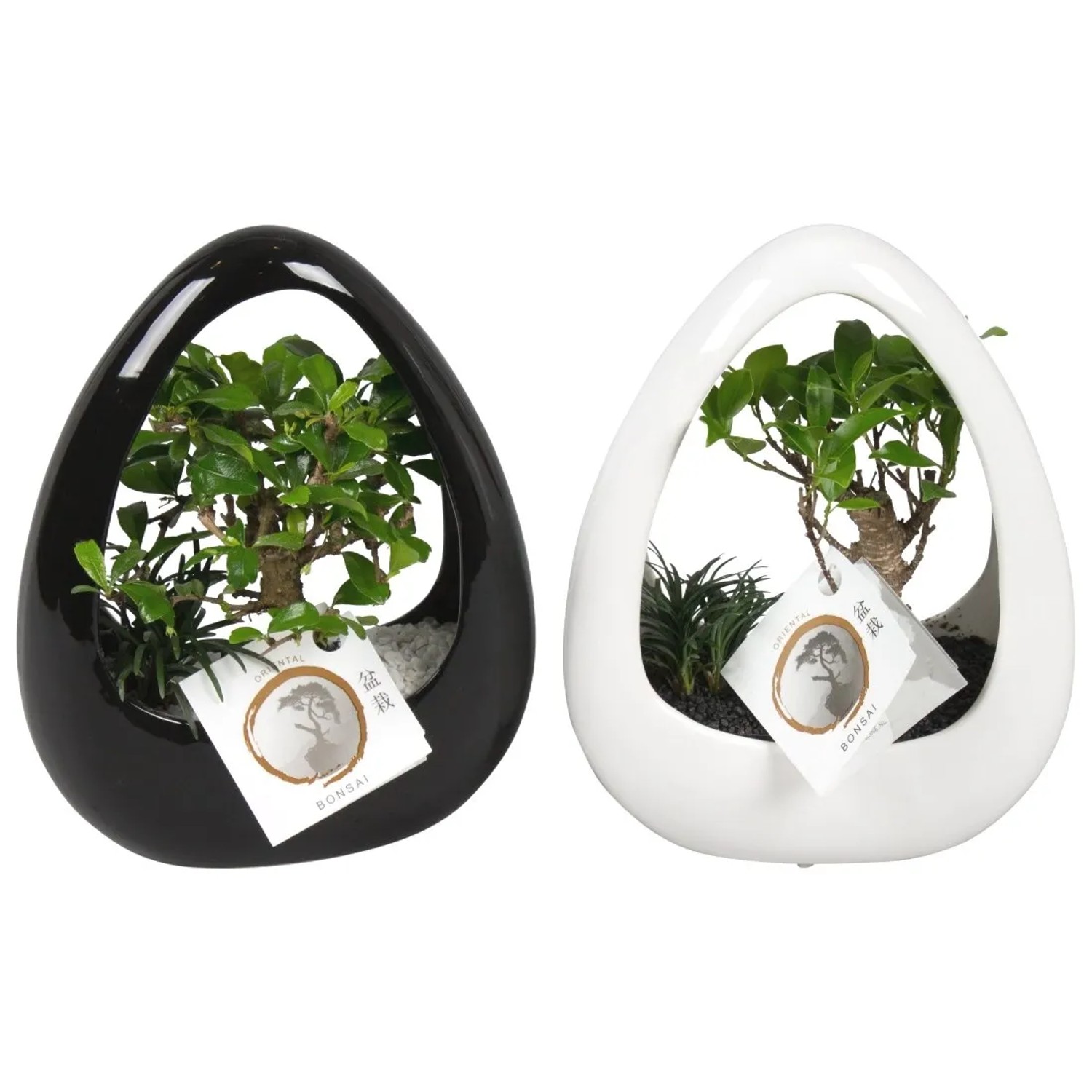 Drzewko Bonsai Moonshape Ceramika - don. 19 cm