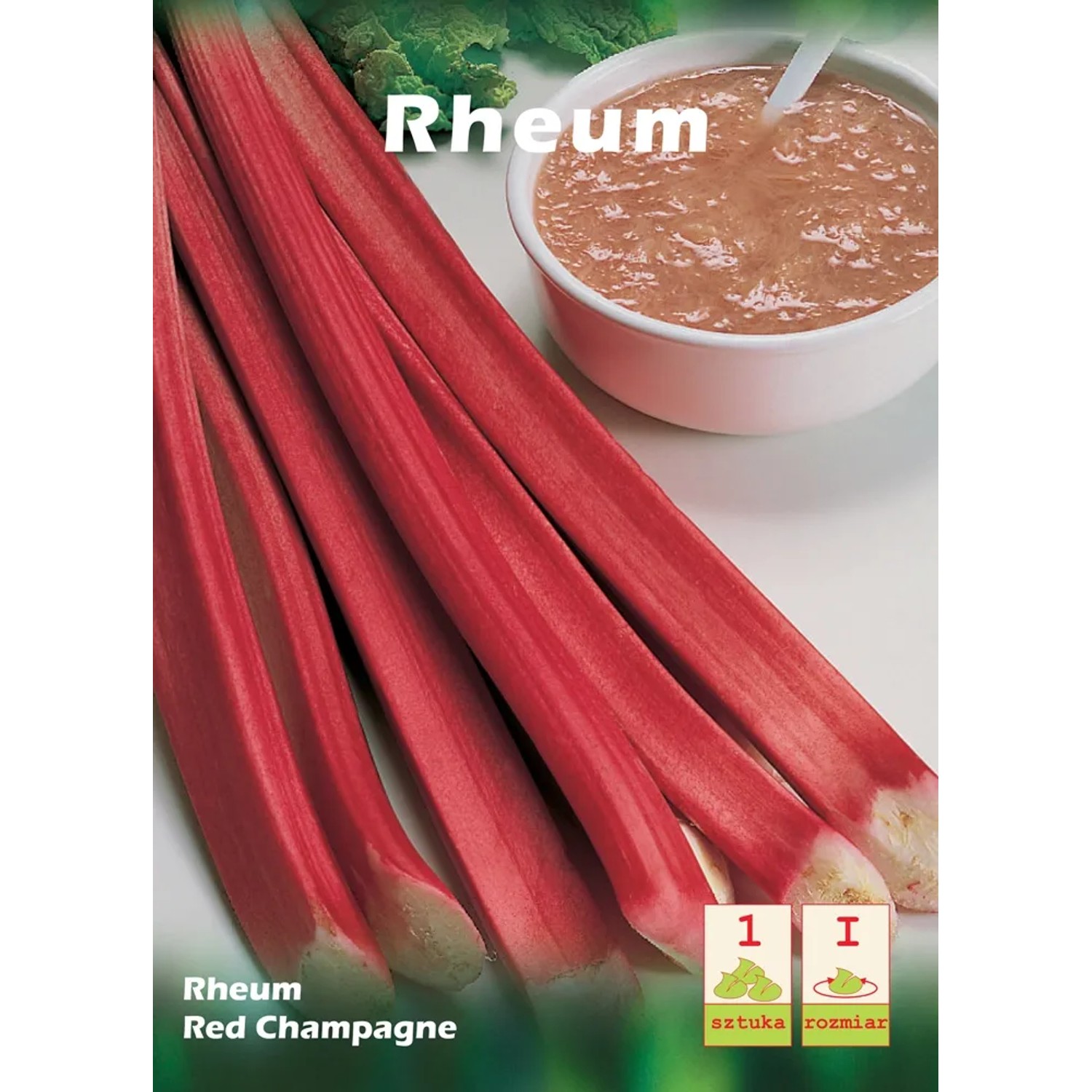 Rabarbar - Rheum rhabarbarum Red Champagne 1 szt.