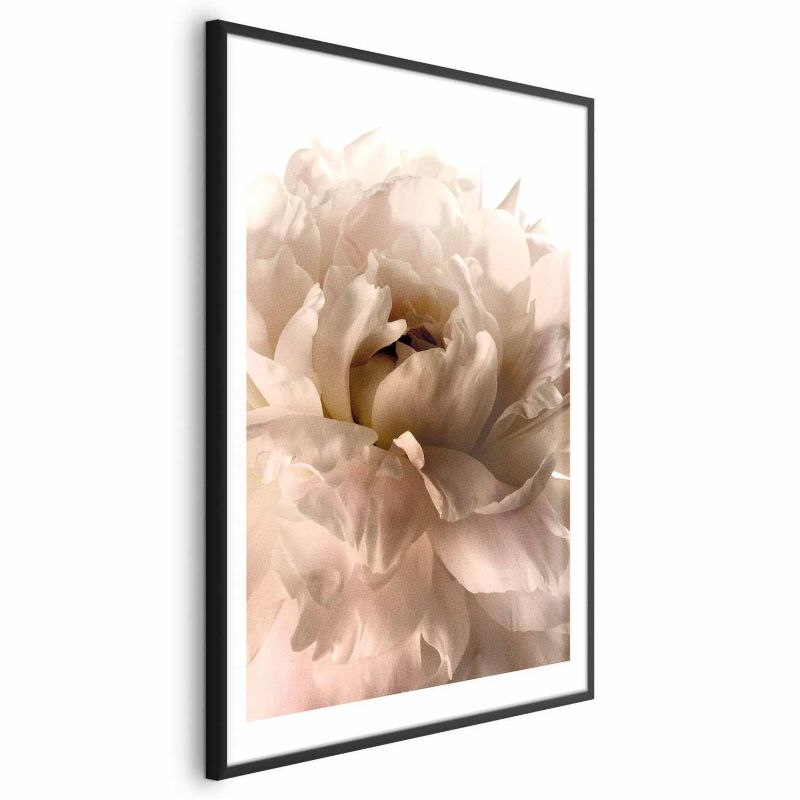 Plakat Artgeist Miękkie płatki 21x30 cm z ramą czarną 1 szt