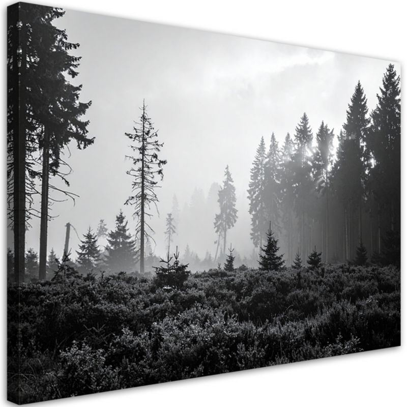 Obraz do salonu sypialni jadalni Feeby Las krajobraz czarno biały 100x70cm 1szt