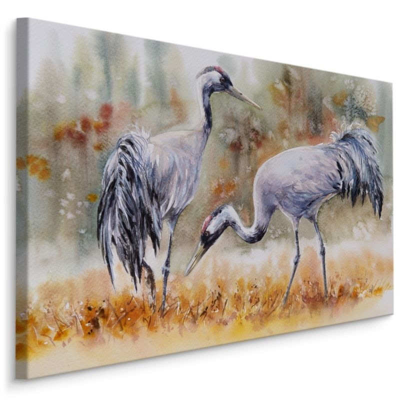 Obraz Muralo Ptaki Żurawie Akwarela 120x80 cm 1 szt.