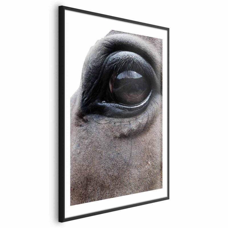 Plakat Artgeist Szczere oczy 29,7x42 cm z ramą czarną 1 szt