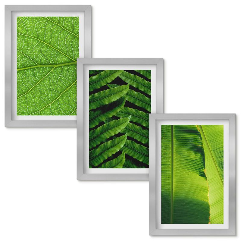 Obrazy Do Sypialni Wallfluent Liście tropikalne makrofotografia Srebrna rama 20x30cm 3 szt.