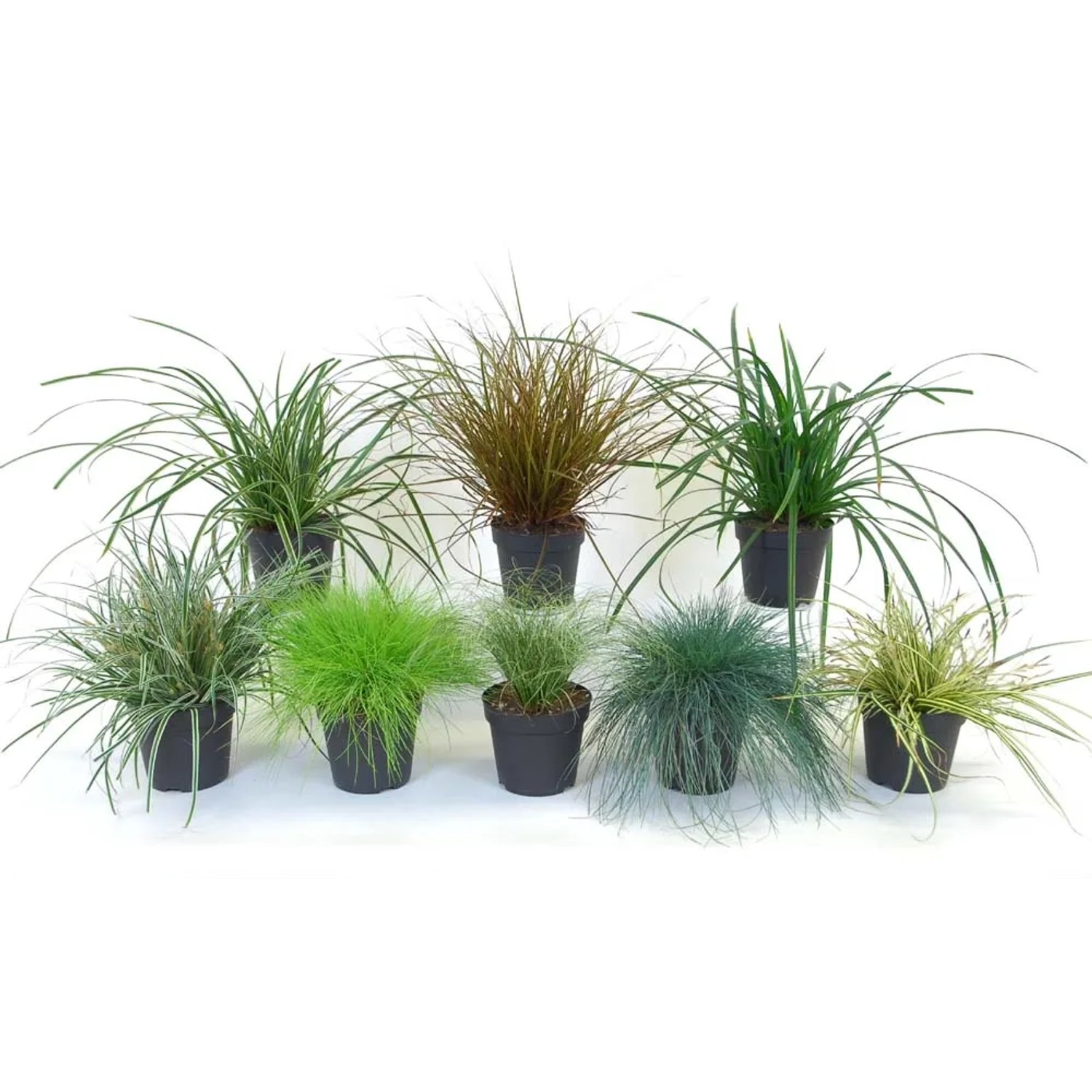 Trawy mix don. 26 cm