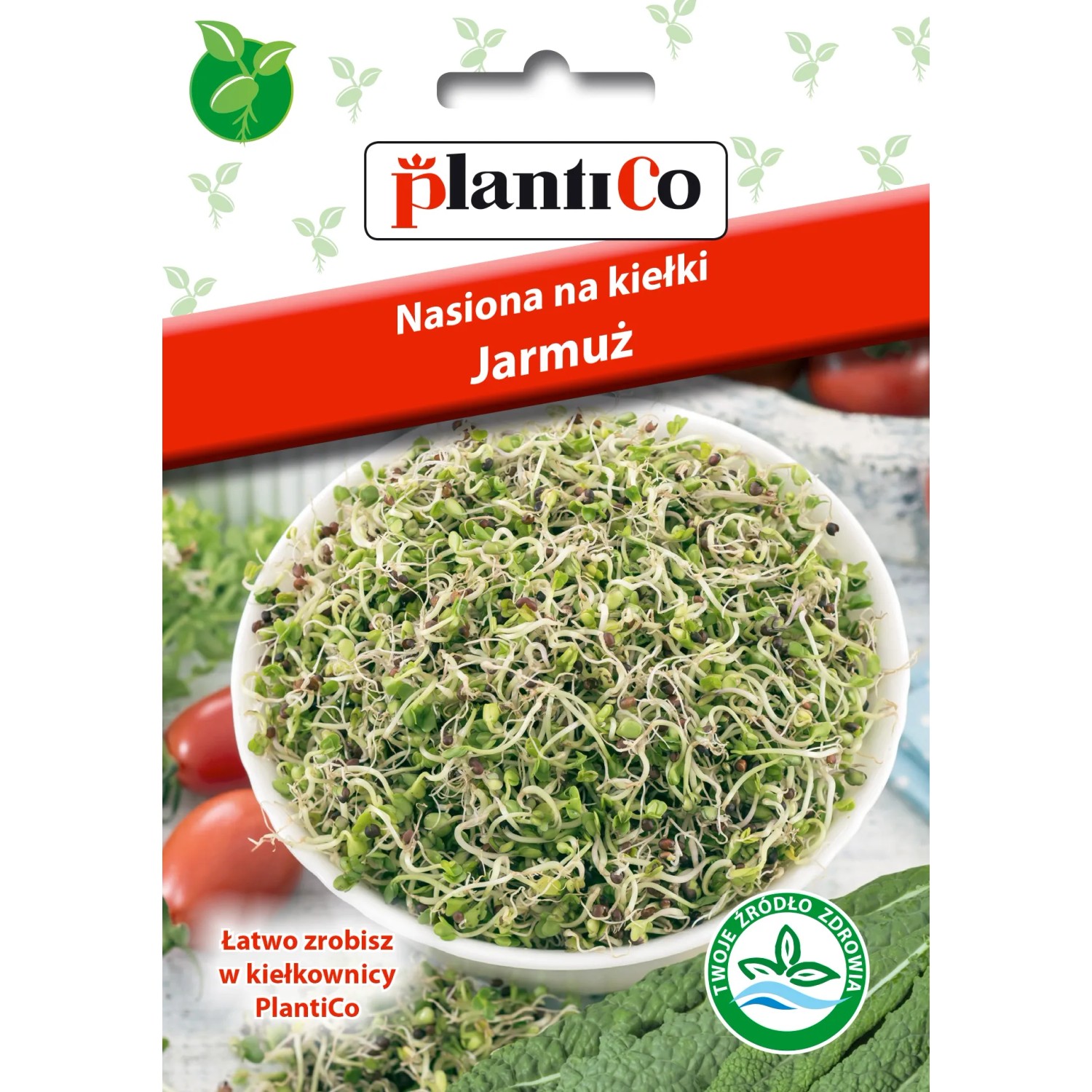 Nasiona na kiełki jarmuż