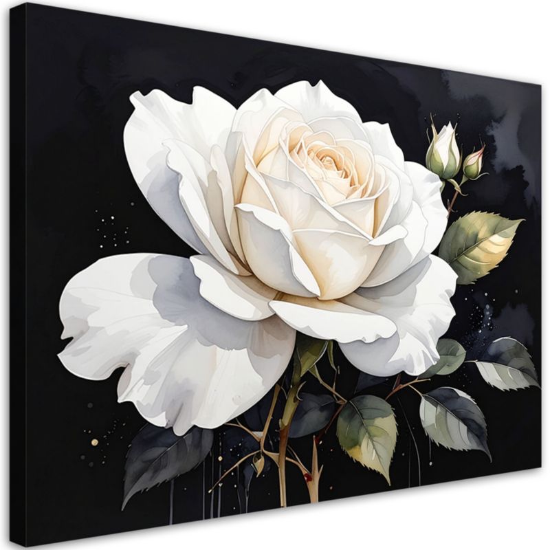 Obraz do salonu sypialni kuchni biura loftu Feeby Biała róża kwiat 100x70cm 1szt