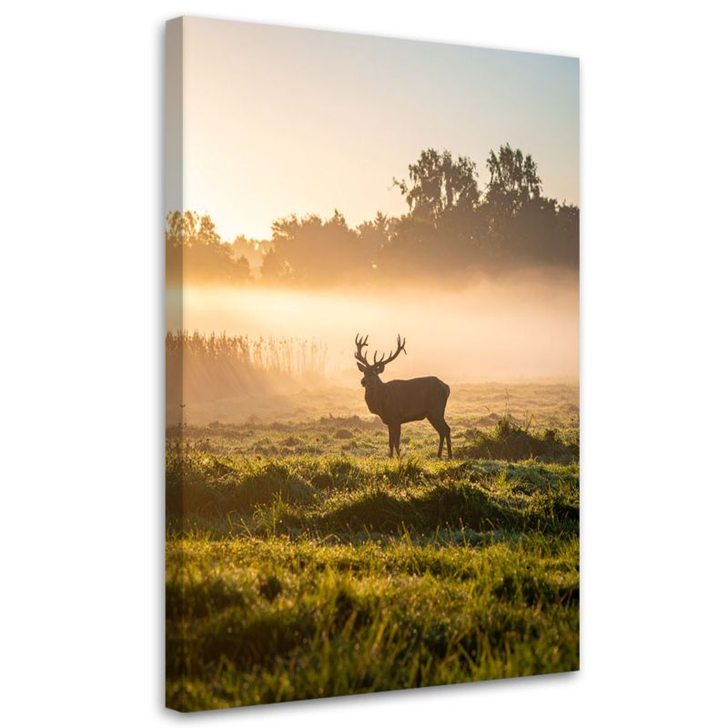 Obraz do salonu sypialni biura Pejzaż Feeby Jeleń na rykowisku we mgle 40x60cm 1szt