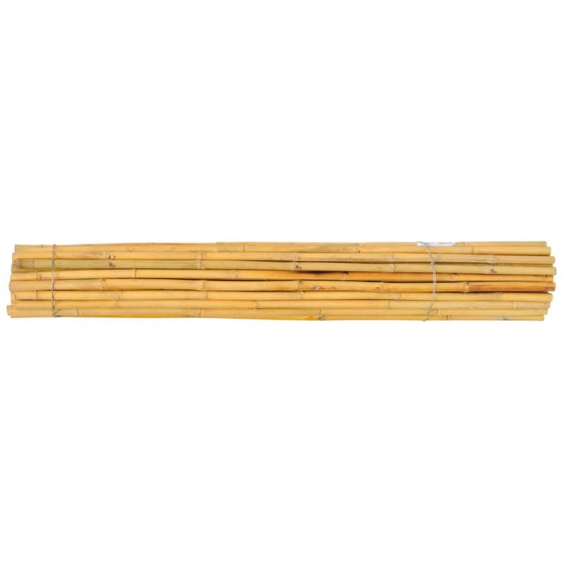 Tyczka bambusowa tajska BMBS 235cm 22/24mm 25 szt.