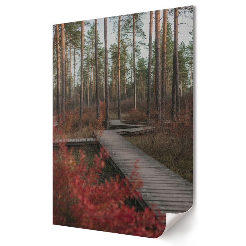 Plakat canvas Wallfluent Format A2 Leśna droga Artysta Nitrozine 1 szt.