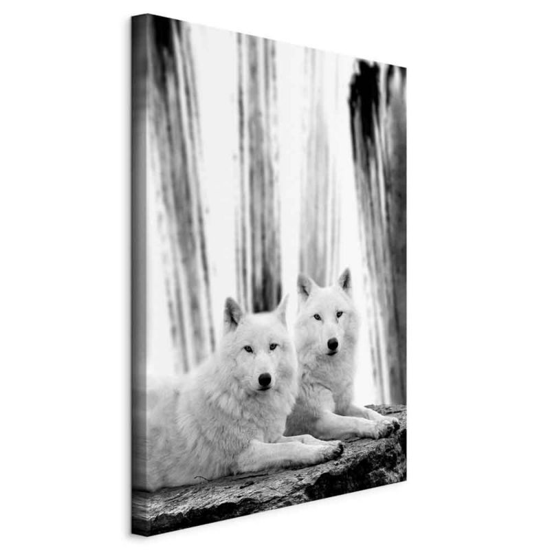 Obraz Artgeist Leśna miłość 20 x 30 cm flizelina 1 szt