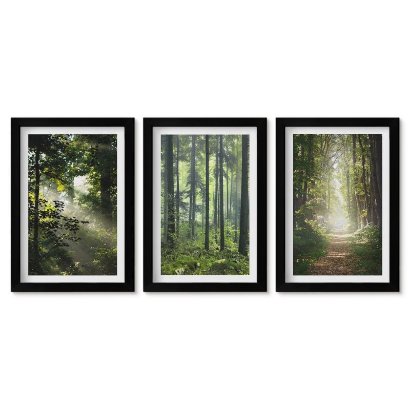 Seria obrazów 3 sztuki Tulup 20x30 cm Zielone lasy z promieniami światła Obrazy nad biurko zestaw czarna rama 1 kpl