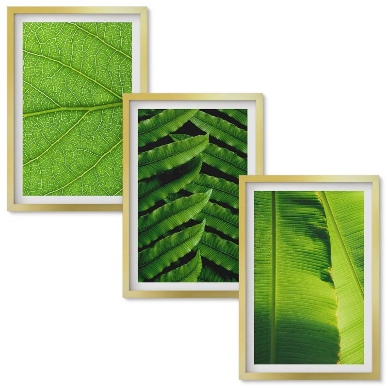Obrazy Do Sypialni Wallfluent Liście tropikalne makrofotografia Złota rama 40x60 cm 3 szt.