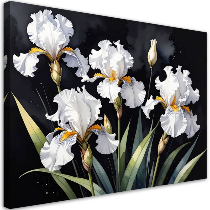 Obraz do salonu sypialni kuchni biura loftu Feeby Białe irysy kwiaty 60x40cm 1szt