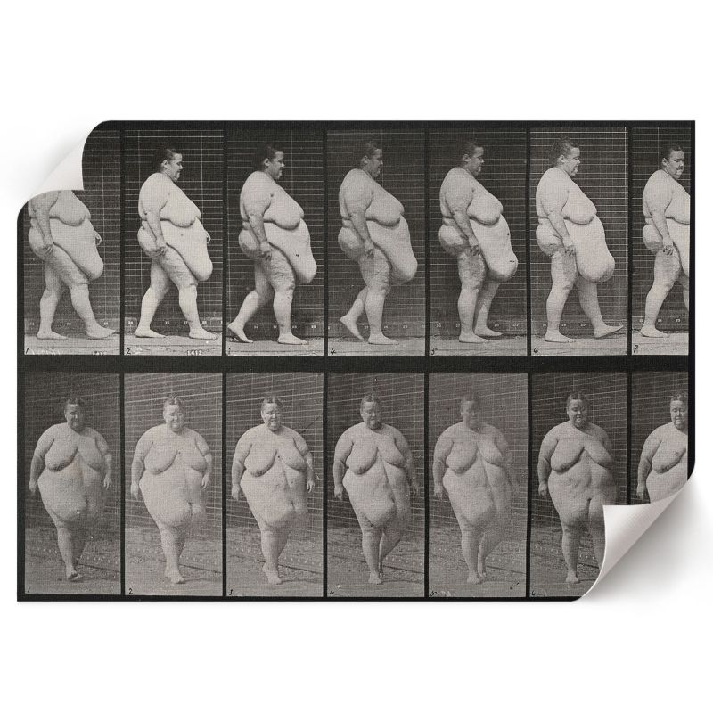 Plakat Do Łazienki ArtPrintCave 59,5x42 cm Otyła kobieta Eadweard Muybridge 1 szt.