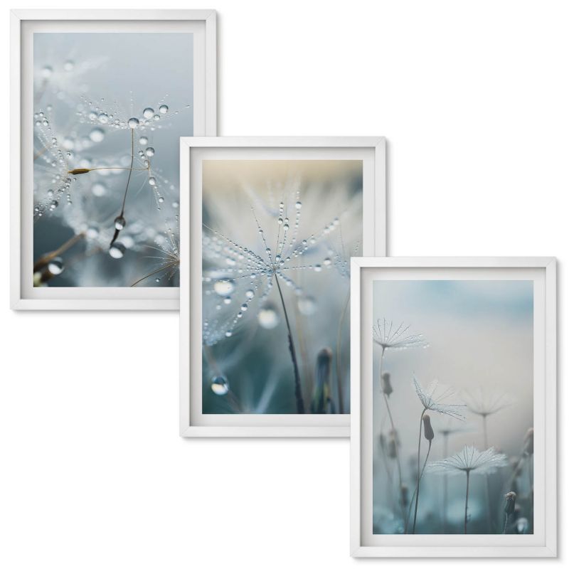 Obrazy do Salonu Wallfluent Krople rosy na dmuchawcach Biała rama 40x60 cm 3 szt.