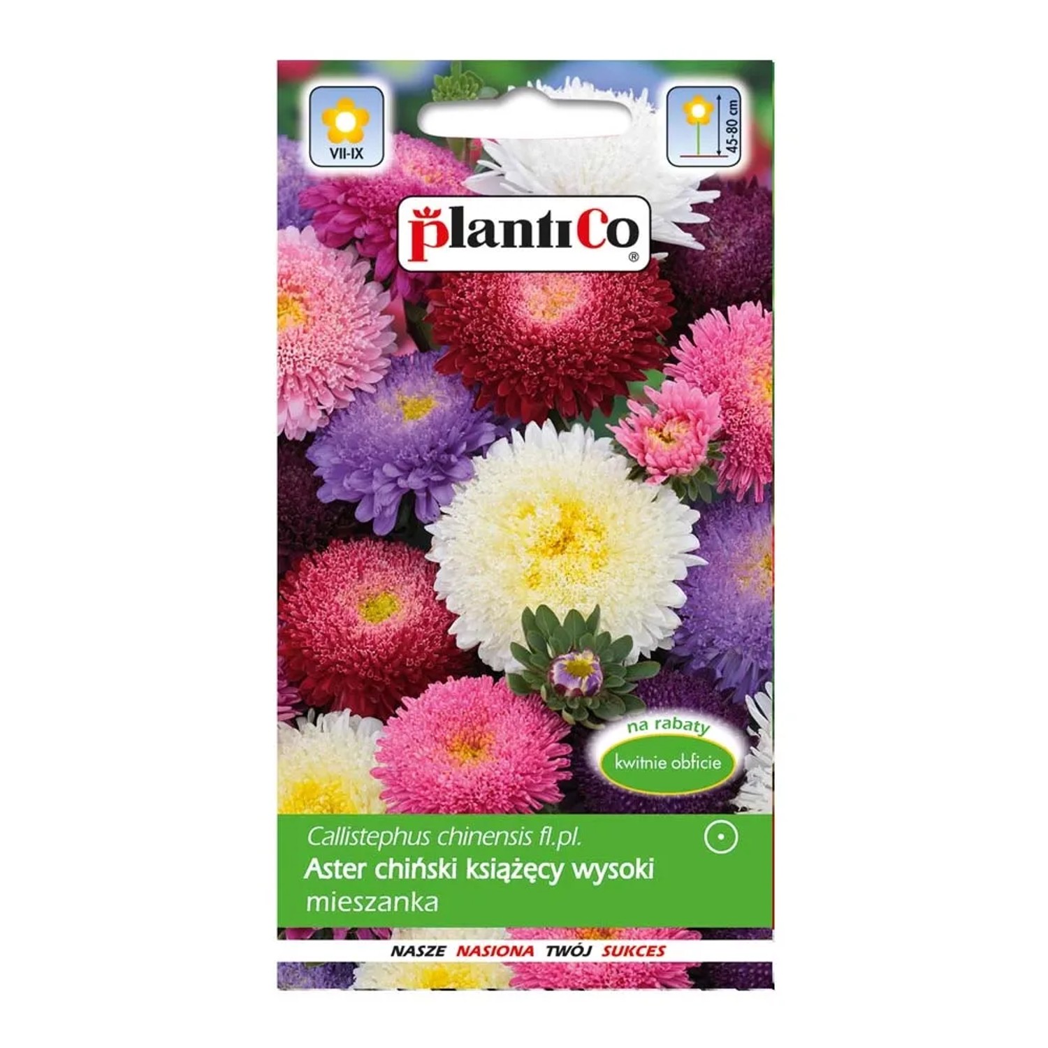 Aster chiński książęcy mix