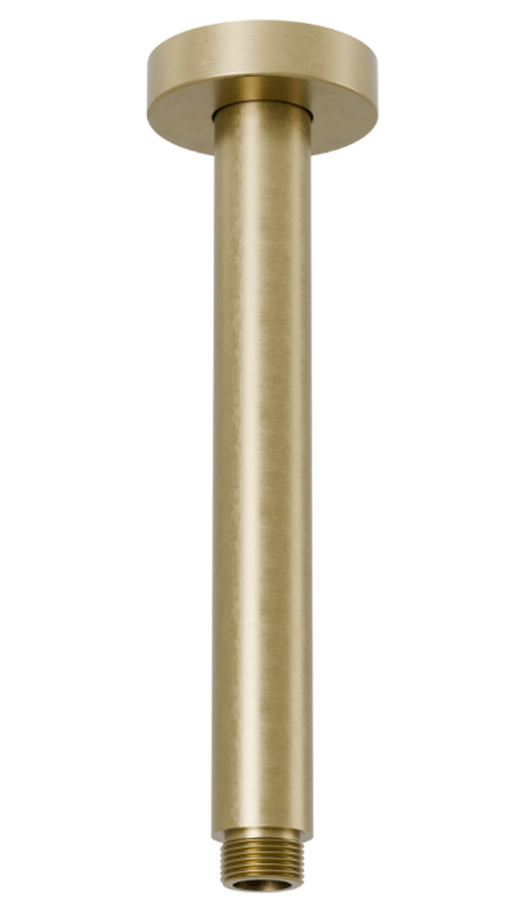 Excellent ramię sufitowe 20 cm złoty szczotkowany AREX.3120GB