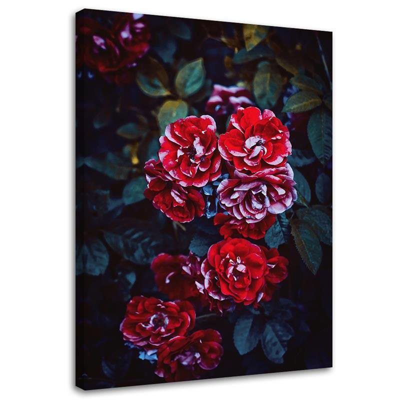 Obraz na płótnie Feeby Czerwone kwiaty na tle liści 60x90cm 1szt
