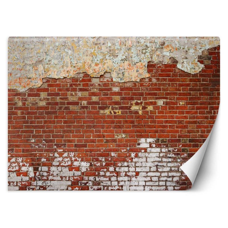Fototapeta Feeby Cegła mur 400x280 1 szt