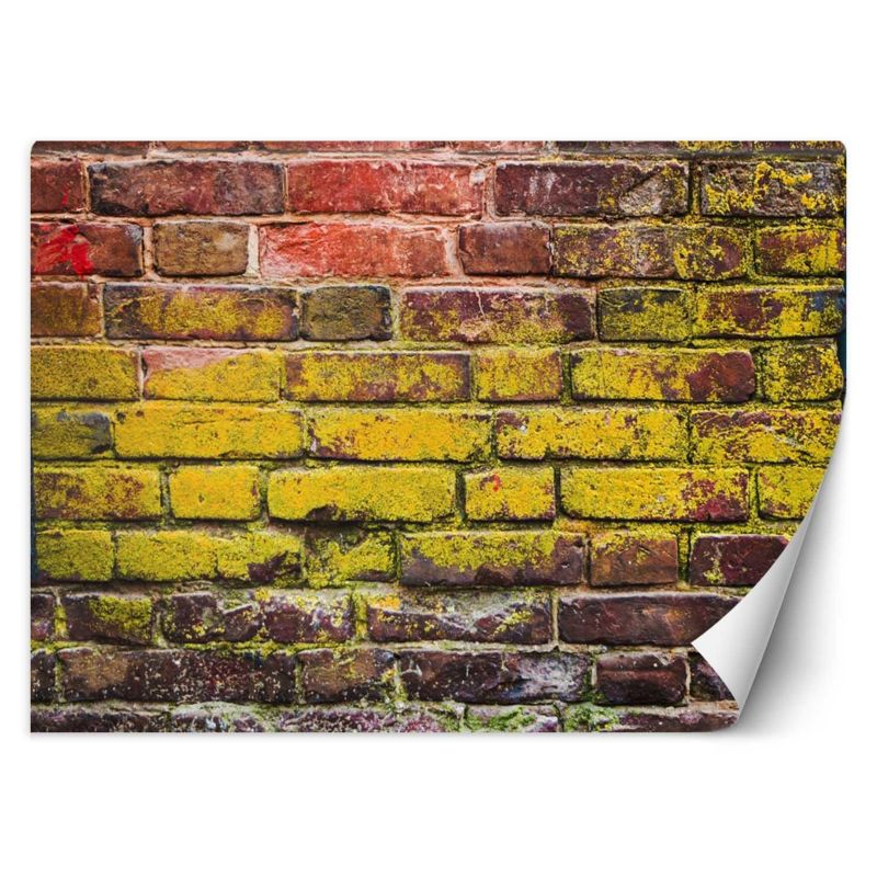 Fototapeta Feeby Stary mur z cegieł 350x245 1 szt