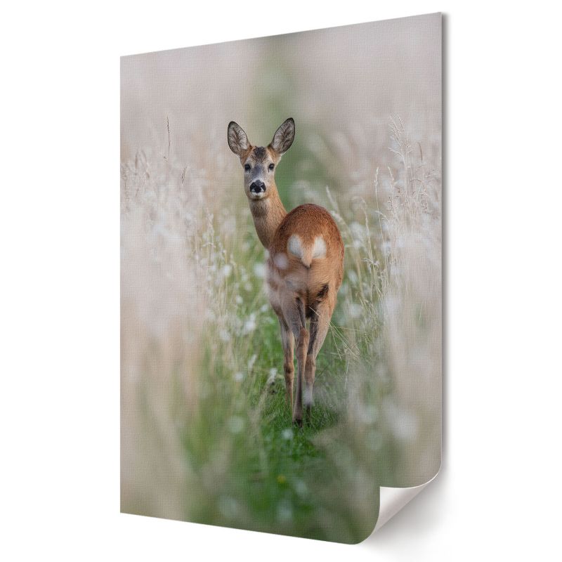 Plakat Wallfluent Format A4 Sarna natura Artysta ArTi 1 szt.