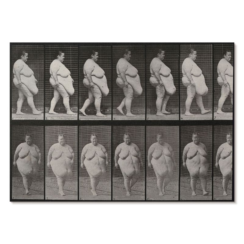 Plakat na Płótnie Tulup 42x29,7 cm (A3) Otyła kobieta Do salonu, sypialni, biura 1 szt.