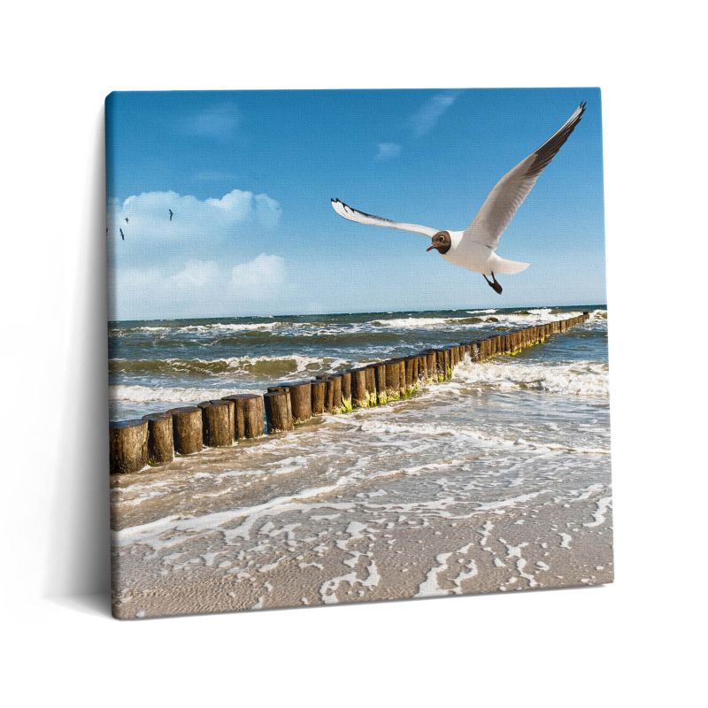 Obraz na płótnie Wallfluent 60x60 cm Ptak nad morzem 1 szt.