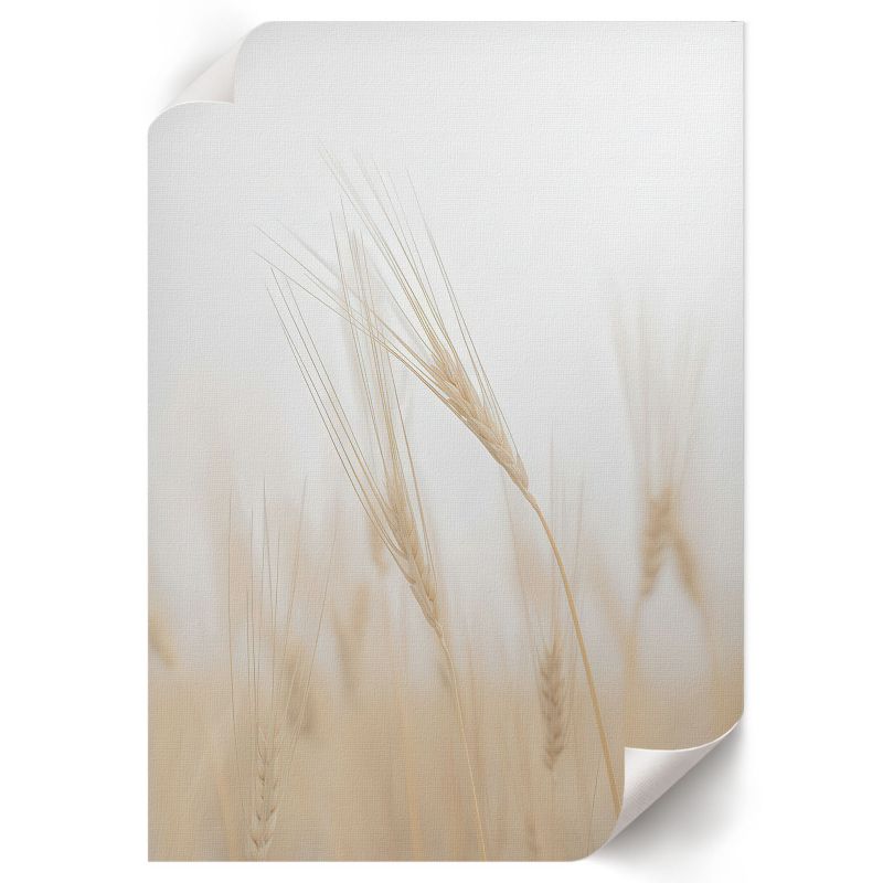 Plakat Do Sypialni ArtPrintCave 59,5x84 cm Kłosy zboża Punkt Widzenia 1 szt.
