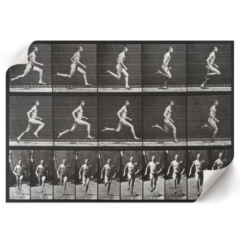 Plakat Na Płótnie ArtPrintCave 29,7x21 cm Lokomocja zwierząt Eadweard Muybridge 1 szt.
