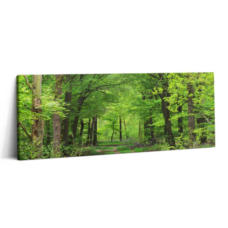 Obraz na płótnie Wallfluent 125x50 cm Leśna droga pod drzewami 1 szt.