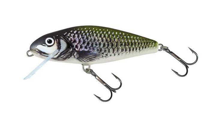 Salmo Wobler Perch Floating 8cm Holo Bleak