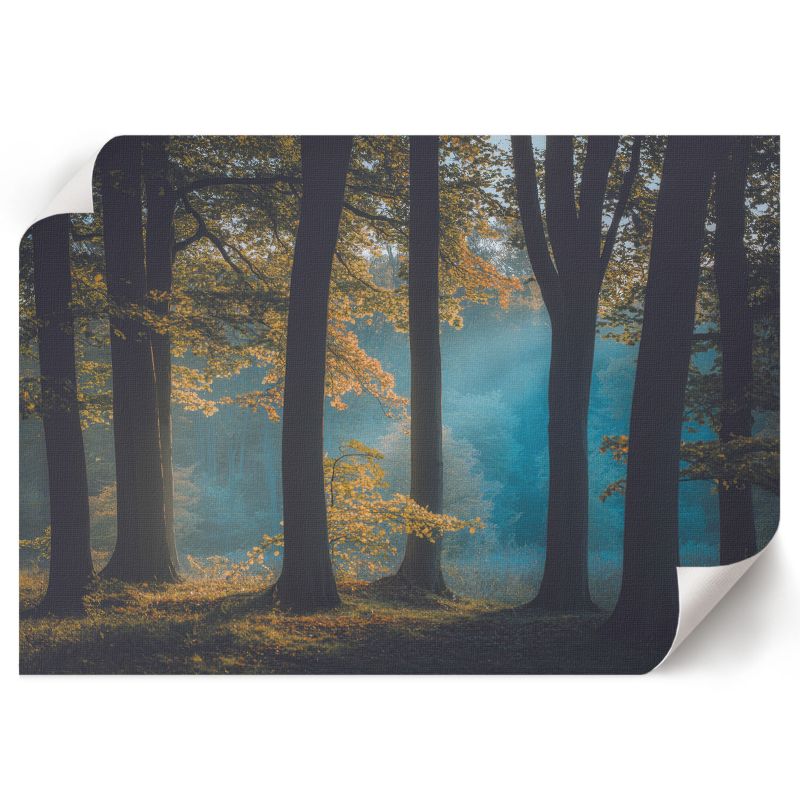 Grafika Na Ścianę ArtPrintCave 84x59,5 cm Leśny spokój Nevara 1 szt.