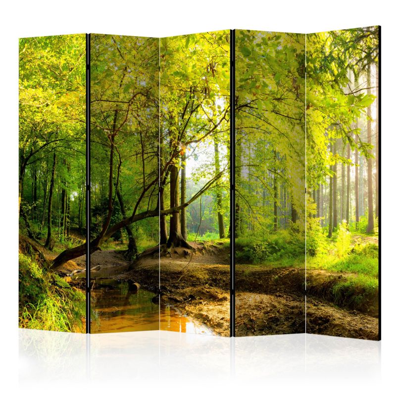 Parawan dwustronny Artgeist Pejzaże 225x172 cm Pejzaże 1 szt