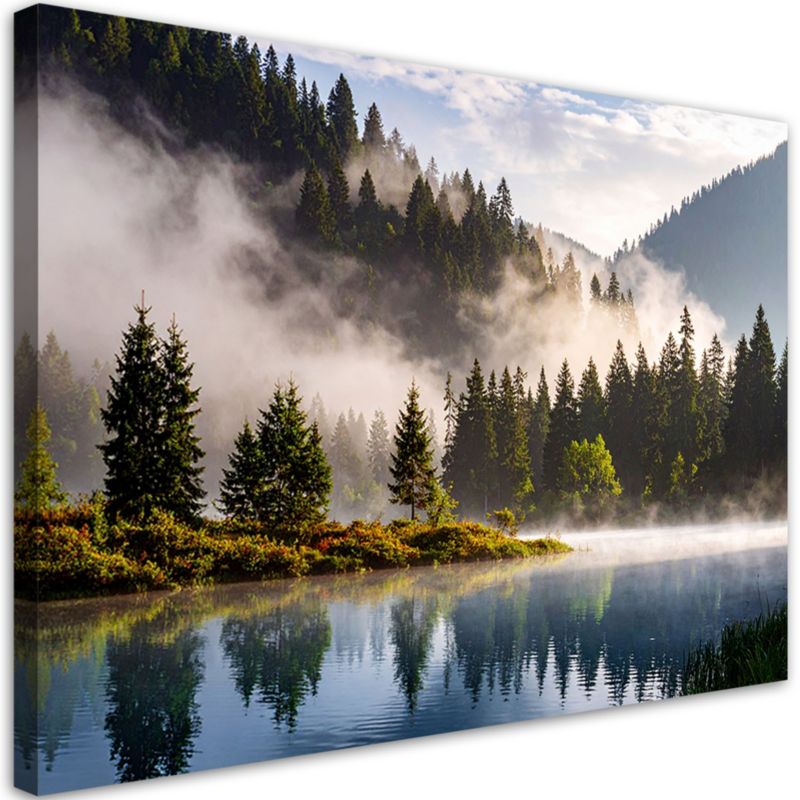 Obraz do salonu sypialni kuchni biura Feeby Las 60x40cm 1szt
