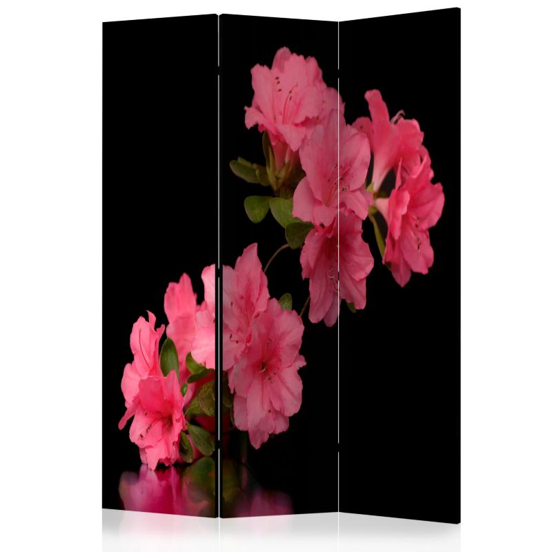 Parawan dwustronny Artgeist Kwiaty 135x172 cm Kwiaty 1 szt