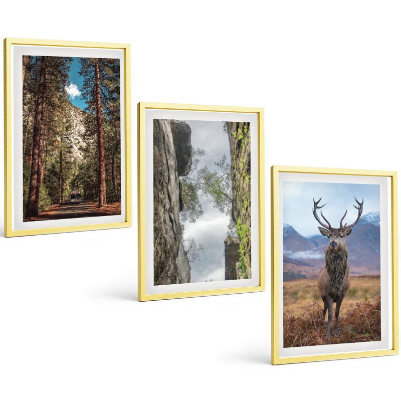 Zestaw Obrazów 3 Częściowy ArtPrintCave Złote Ramki 40x60 cm Dekoracja do Sypialni Droga las góry jeleń natura 1 kpl.