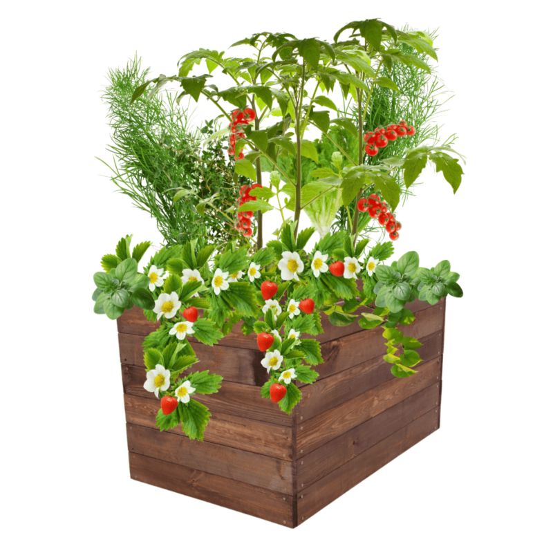 Warzywnik MODO24 grządka podwyższona brązowa impregnacja 54x83x60 cm 1 szt.