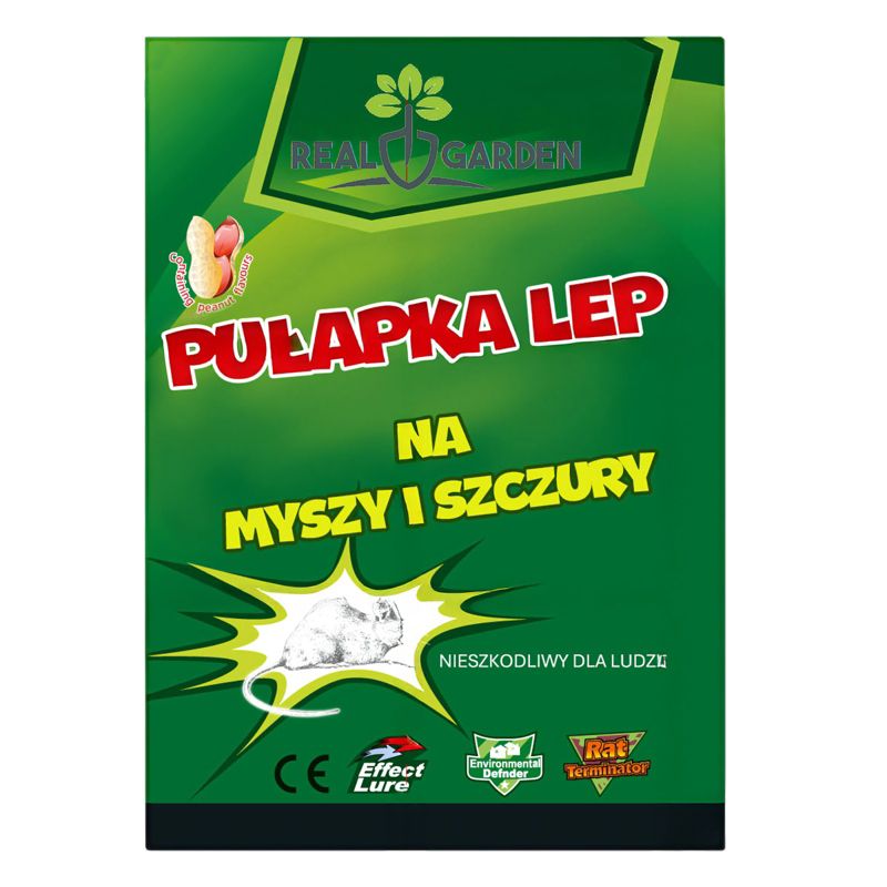 Lep na myszy jednorazowy