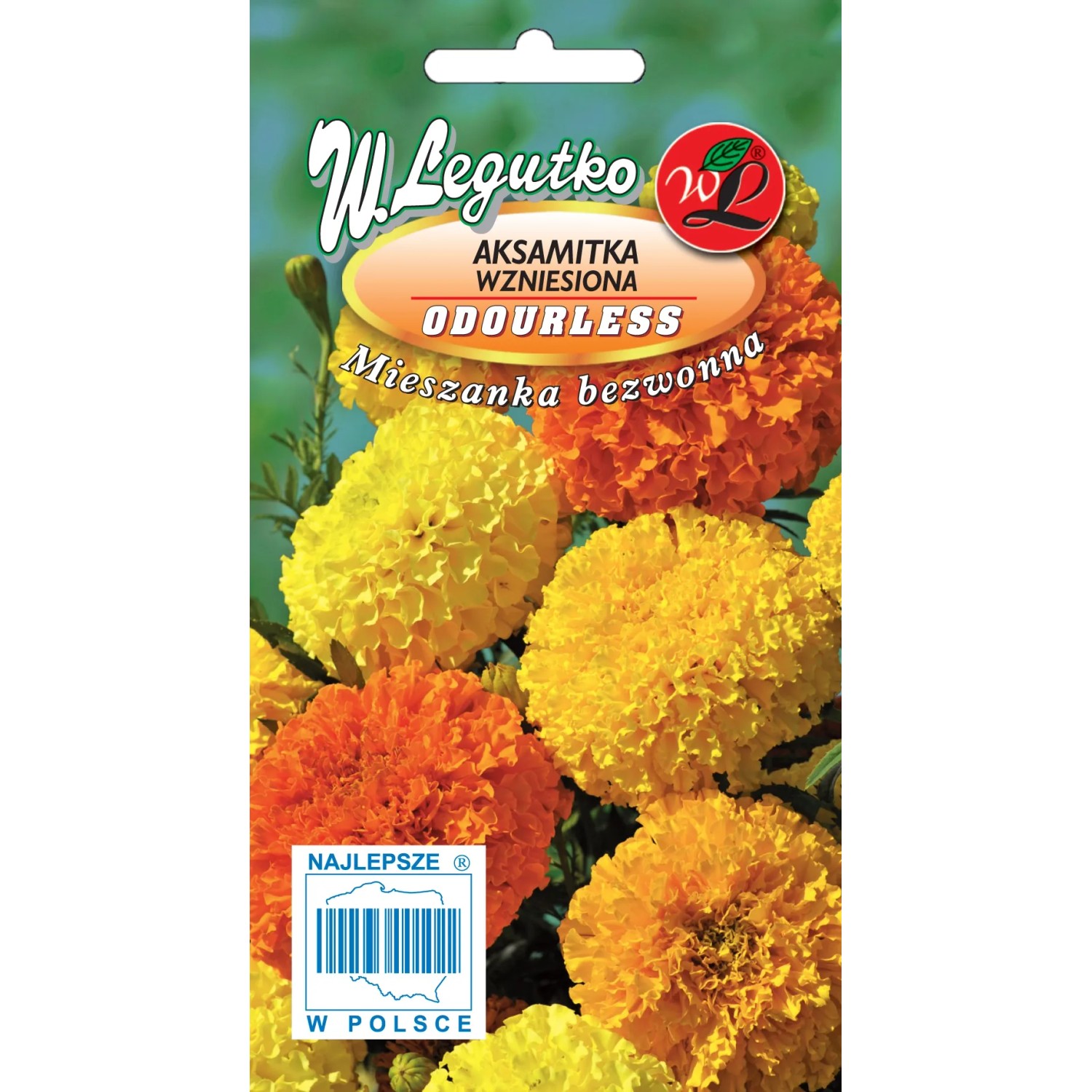 Aksamitka wzniesiona mieszanka bezzapachowa