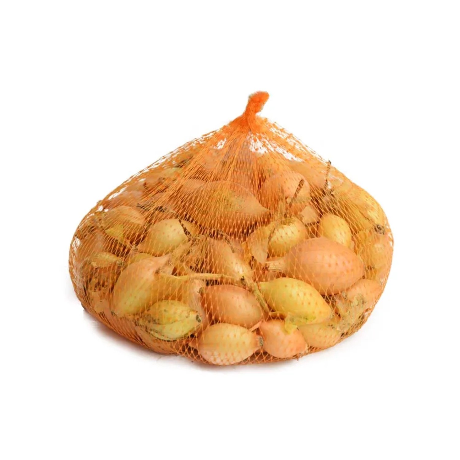 Cebula dymka (Allium cepa) Sturon - 250 g